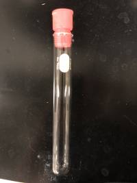 20180626_testtube.jpg 20180626_testtube.jpg